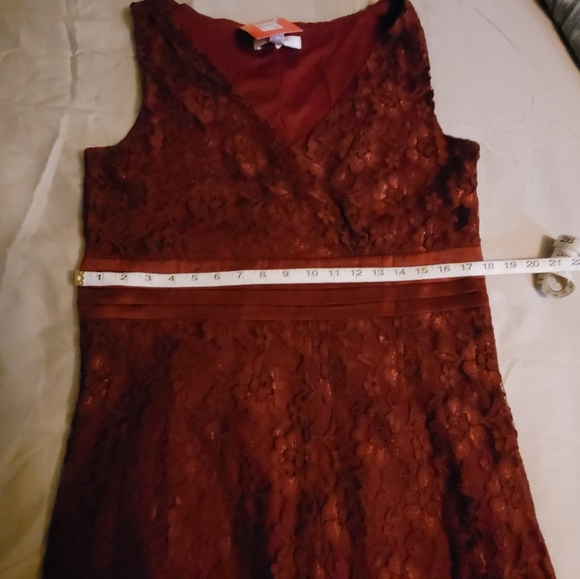 NWT/ ISAAC MIZRAHI LACE DRESS - Picture 5 of 6